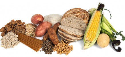 Carbohidratos en la Alimentación 